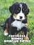 A Photo Book Of Bernese Mou...