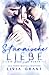 Stürmische Liebe (Black Light 2) (German Edition)