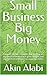 Small Business Big Money  by Akin Alabi