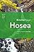 Journey Through Hosea by David Gibb