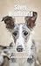 Silver Windhound: The Comprehensive Owners Guide For Costs, Feeding, Care, Grooming, Health, Nutrition, Breeding And Training