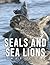 The Photo Of Seals And Sea ...