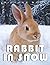 Picture Of Rabbit in Snow: ...