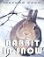 Picture Of Rabbit in Snow: ...