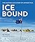 Ice Bound: Australian Stori...