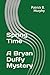 Spring Time - A Bryan Duffy Mystery by Patrick B. Murphy