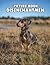 The Picture Book Of Dachshu...