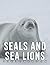 Picture Of Seals And Sea Li...