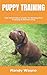 PUPPY TRAINING: The Informa...