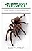 CHILEAN ROSE TARANTULA: How...