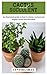 CACTUS AND SUCCULENT: An Il...