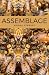 Assemblage