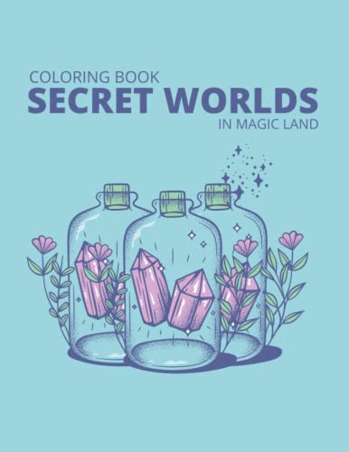 Secret Worlds Coloring Book: Secret Worlds Coloring Book in Magic Land for Kids (Paperback)