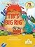 Tib's Big Rig (My Decodable Readers)