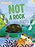 NOT a Rock
