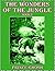 The Wonders of the Jungle, Book 2 by Prince Ghosh