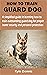 HOW TO TRAIN GUARD DOG: A s...