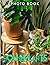 Houseplants Photobook: The ...