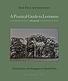 A Practical Guide to Levitation: Stories