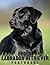 A Photo Book Of Black Labrador Retriever by Sharon Carson