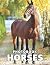 A Photo Book Of Horses by Maria Nicholson