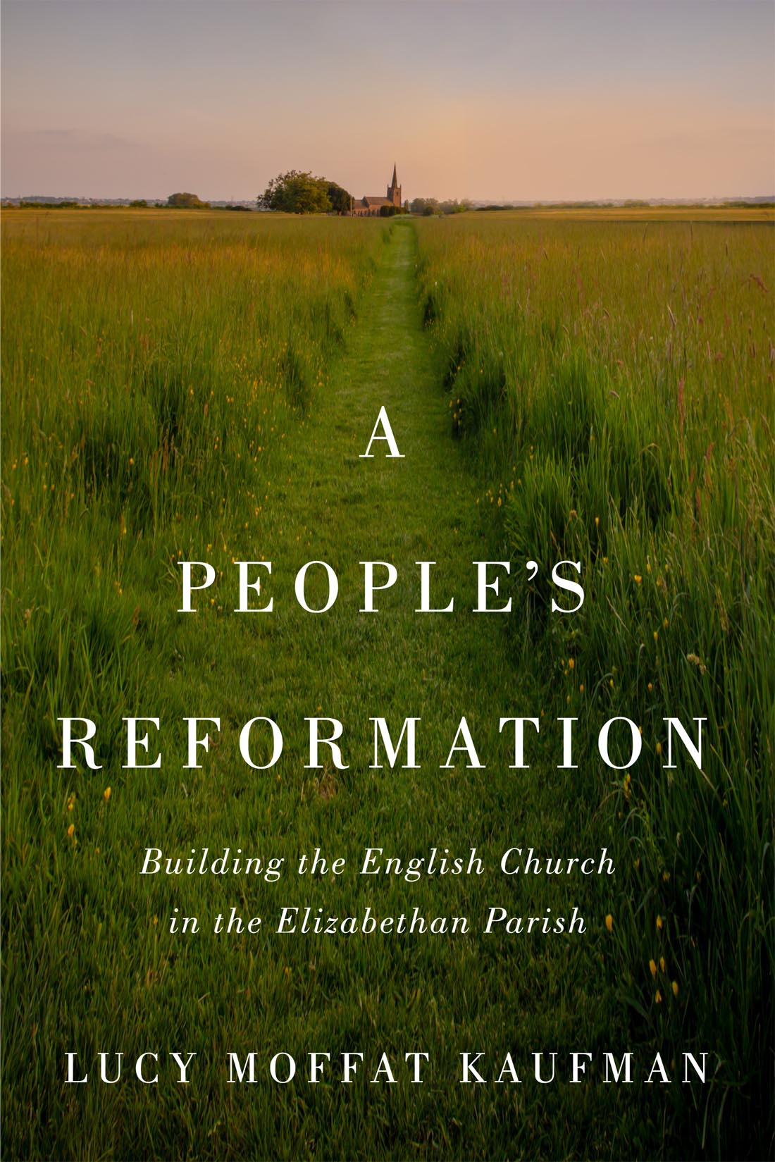 A People’s Reformation: Building the English Church in the Elizabethan Parish (McGill-Queen's Studies in the History of Religion, 98) (Volume 98)