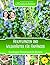 Heilpflanzen und Wildkräuter für Anfänger (Krautgeschwister)