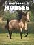 A Photo Book Of Horses: An ...
