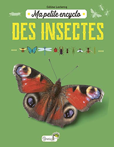 Ma petite encyclo des insectes (Hardcover)