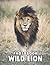 A Photo Book Of Wild Lion: ...