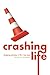 Crashing Life: Dodging Poth...