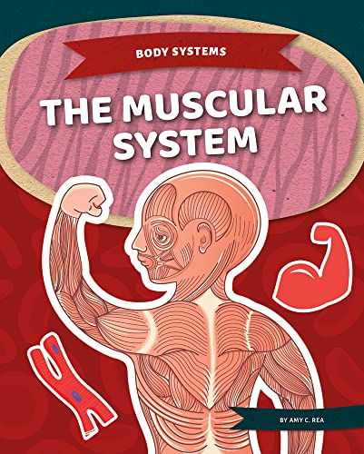 Muscular System (Body Systems)