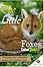 The Little Foxes Called Hab...
