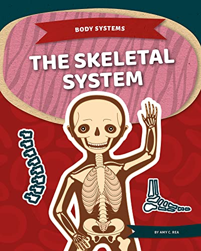 Skeletal System (Body Systems)