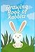 Drawing book of rabbits by Vivek Gupta