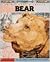 Bear: Animal Lore and Legen...