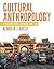 Cultural Anthropology: A Toolkit for a Global Age