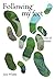 Following my feet by Jane Whittle