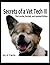 Secrets of a Vet Tech III