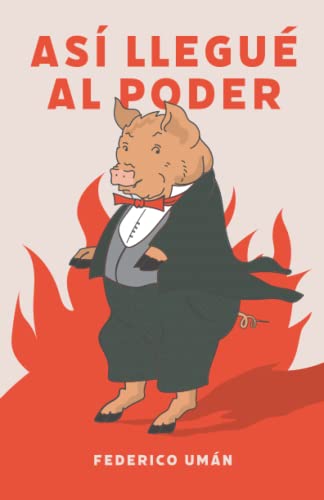 Así llegué al poder (Spanish Edition)