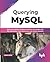 Querying MySQL: Make your MySQL database analytics accessible with SQL operations, data extraction, and custom queries