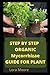 STEP BY STEP ORGANIC MYCORR...