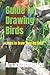 Guide to Drawing Birds: Lea...