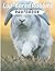 Lop-Eared Rabbits Photo Boo...