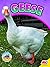 Geese (Animals on the Farm)
