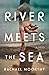 River Meets the Sea by Rachael Moorthy