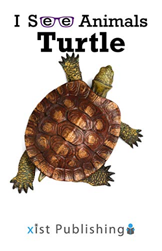 Turtle (I See Animals)