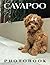 Cavapoo Photo Book: Compelling Photos Of Cavapoo Collection As A Perfect Gift Idea For Family Relatives Friends Lover All Age