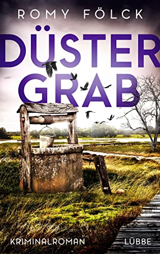 Düstergrab (Kindle Edition)