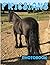 Friesians Photo Book: Light...